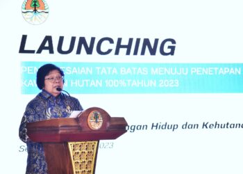 KLHK Berkomitmen dalam Penyelesaian Tata Batas Penetapan Kawasan Hutan di Tahun 2023