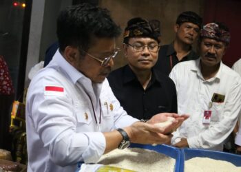 Mentan Klaim Ketersediaan Beras di Provinsi Ini dalam Kondisi Aman dan Mencukupi
