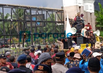 Aksi PABPDSI di DPR: Ubah BPD Menjadi DPRDes