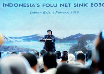 Pembukaan Sosialisasi dan Penyusunan Rencana Kerja Sub Nasional Indonesia’s FOLU Net Sink 2030