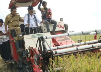 Tinjau Panen Raya, Mentan Sebut Banten Penghasil Beras Nasional Peringkat ke-8