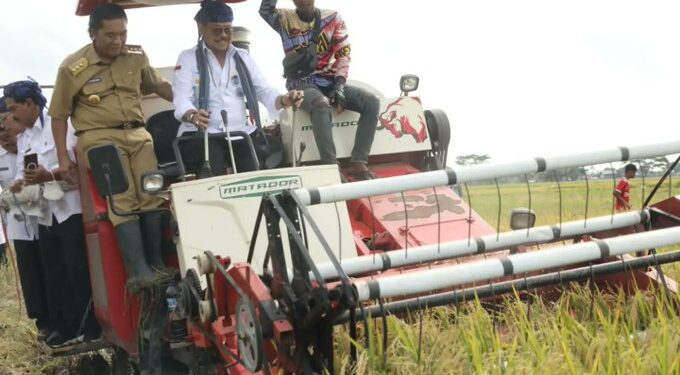 Tinjau Panen Raya, Mentan Sebut Banten Penghasil Beras Nasional Peringkat ke-8