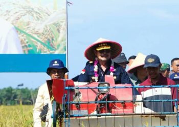 Mentan Apresiasi Petani Indonesia, karena Ini