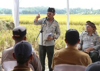 Bogor Memasuki Panen Raya, Mentan Tinjau Langsung