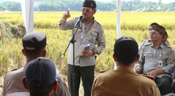 Bogor Memasuki Panen Raya, Mentan Tinjau Langsung