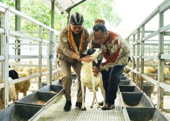 Mentan: Model Peternakan yang Terintegrasi Sangat Layak untuk Dikembangkan