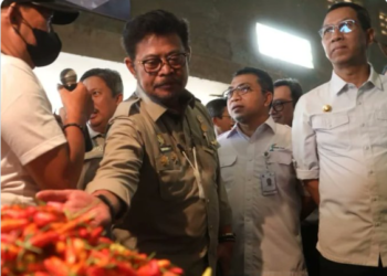 Mentan Pastikan Pasokan Bawang dan Cabai Merah Jelang Puasa Aman