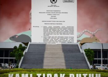 Perppu Ciptaker Jadi UU, BEM UI Ungkap Alasan Unggah Meme Puan