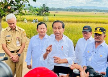 Panen Padi di Lajer, Mentan: Presiden Senang dengan Hasil Panen Para Petani
