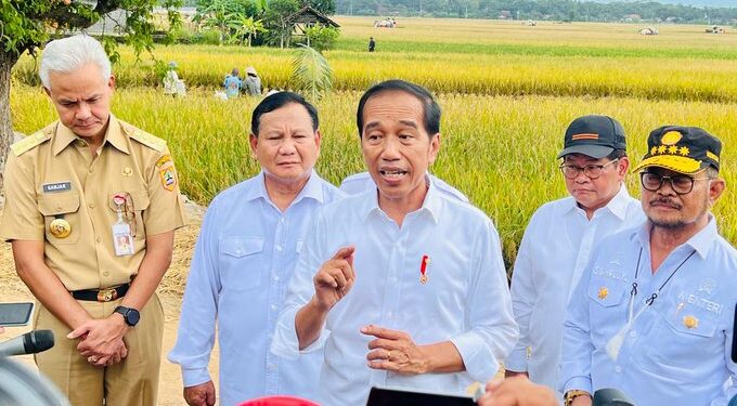 Panen Padi di Lajer, Mentan: Presiden Senang dengan Hasil Panen Para Petani