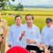 Panen Padi di Lajer, Mentan: Presiden Senang dengan Hasil Panen Para Petani