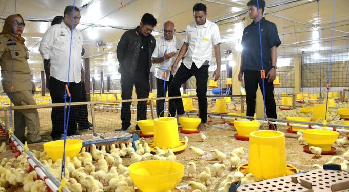 Kandang Ayam Sistem Closed House di Desa Moncongloe