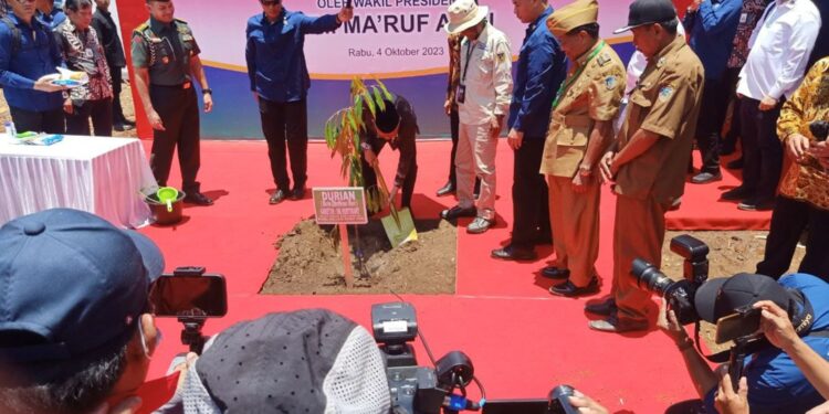 Peresmian dan Penanaman Perdana Kawasan Pangan Nusantara oleh Wapres