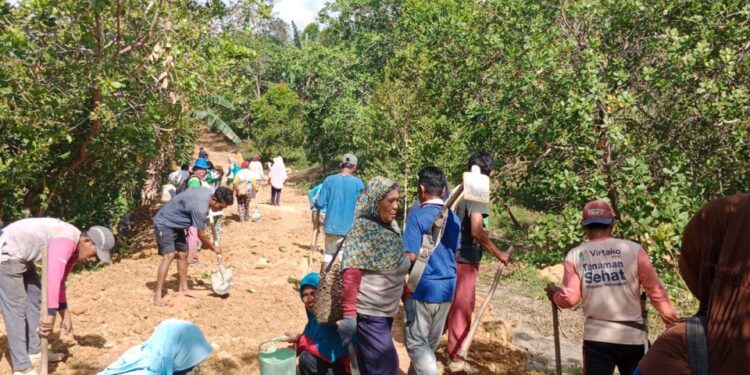 Pembukaan Jalan Usaha Tani di Desa Wawobeau