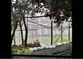 Pembangunan Green House RW 4 Perumahan Bumi PUSPITEK ASRI Jadi Sorotan
