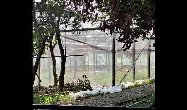 Pembangunan Green House RW 4 Perumahan Bumi PUSPITEK ASRI Jadi Sorotan