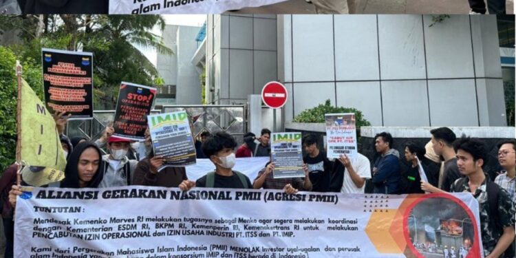 PMII Desak Menko Marves Koordinasi dengan Beberapa Kementerian Cabut Izin Usaha ITSS dan IMIP