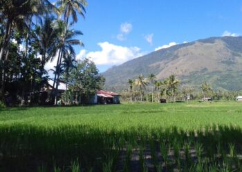 Paninggahan, Nagari Kecil yang Jadi Perhatian Media Nasional