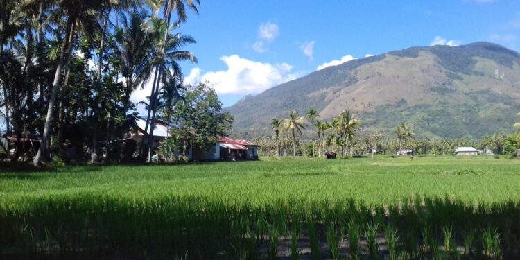 Paninggahan, Nagari Kecil yang Jadi Perhatian Media Nasional