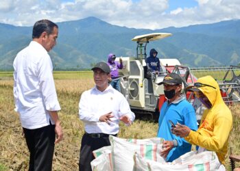 Mentan Pastikan Pemerintah Kawal Stok Pangan Nasional