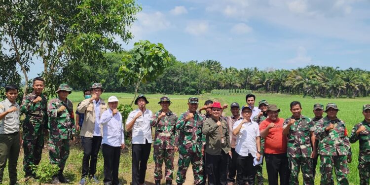 Kementan-TNI Bersinergi Wujudkan Lampung Jadi Sentra Produksi Beras Nasional