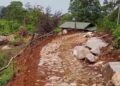 Dugaan Illegal Logging dan Alih Fungsi Lahan Ancam Hutan Lindung Gunung Halimun Salak