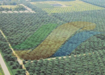 Ratusan Ribu Hektare Tanah Dikuasai Tanpa HGU