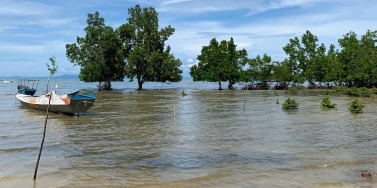 Pantai Pajala dengan Pasir Merah Unik Minim Perhatian Pemerintah Kabupaten Muna