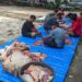 FOBA ber-Qurban 2026 Digelar Wisma Mahasiswa Aceh FOBA Jakarta