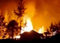 Kericuhan di Ilaga, Kantor Pemda Puncak Dibakar Massa