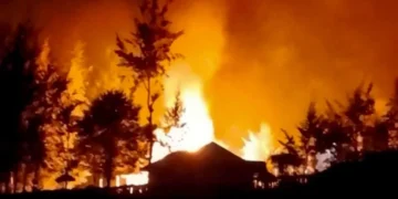 Kericuhan di Ilaga, Kantor Pemda Puncak Dibakar Massa