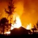 Kericuhan di Ilaga, Kantor Pemda Puncak Dibakar Massa