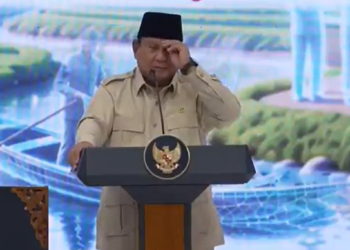 Prabowo Resmikan Dewan Nasional Kesejahteraan Keuangan di Rakornas TPAKD